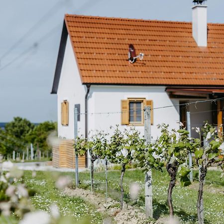 Urlaub Im Kellerstoeckl Dunst Apartment Strem Ruang foto