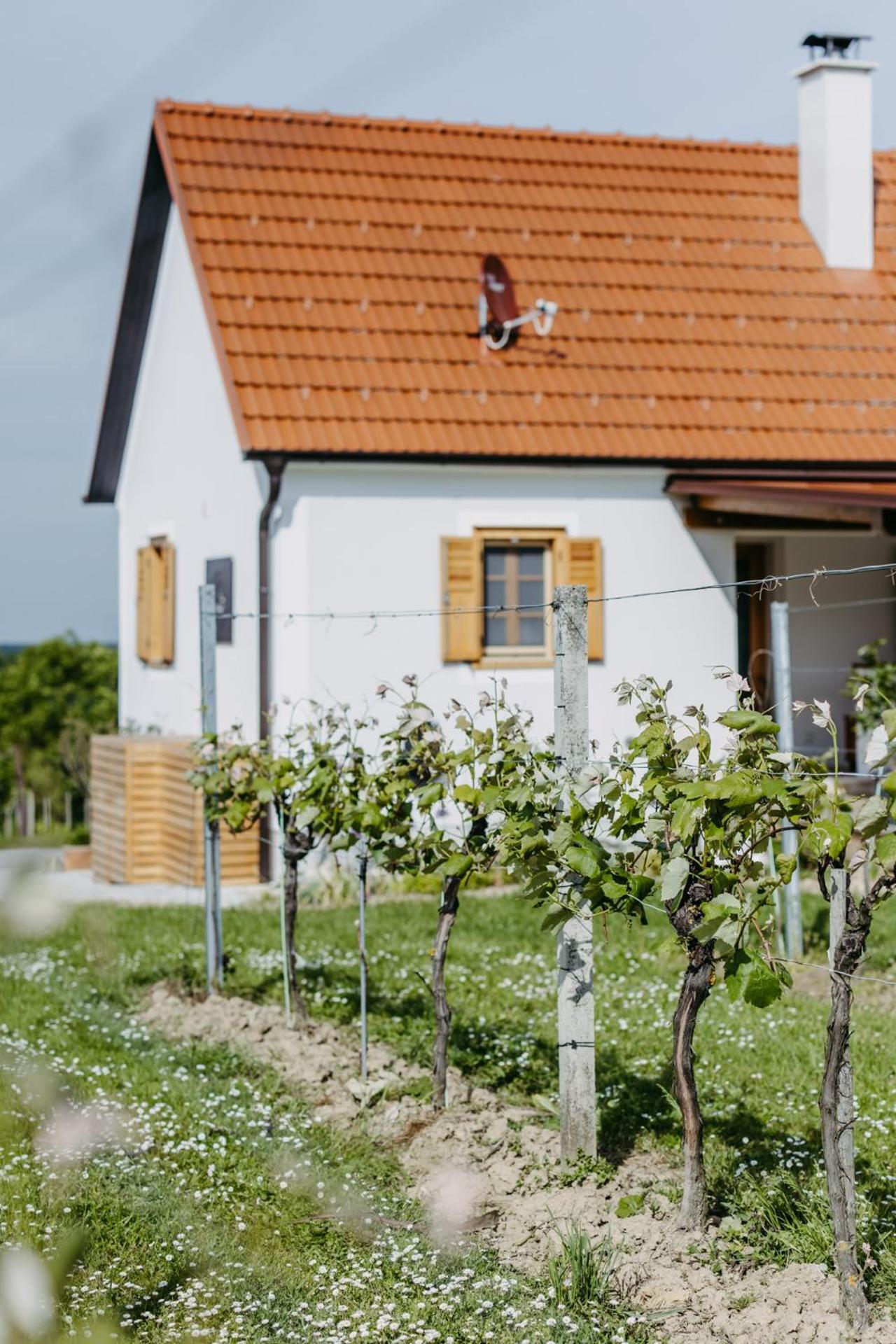Urlaub Im Kellerstoeckl Dunst Apartment Strem Ruang foto
