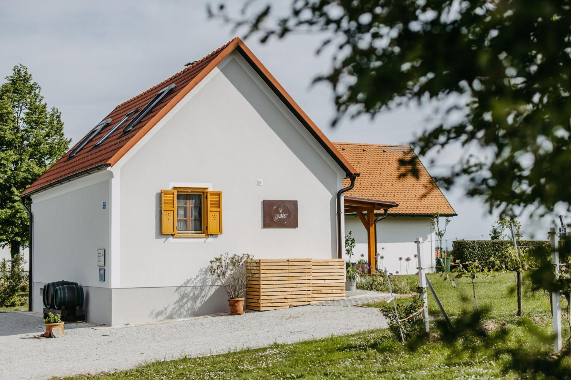 Urlaub Im Kellerstoeckl Dunst Apartment Strem Ruang foto